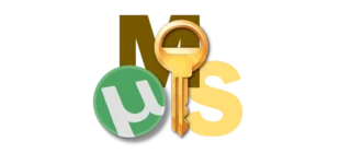 Средство активации лицензии Windows 10